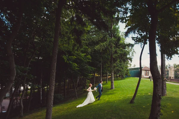 Linda noiva e noivo casal andando no casamento — Fotografia de Stock