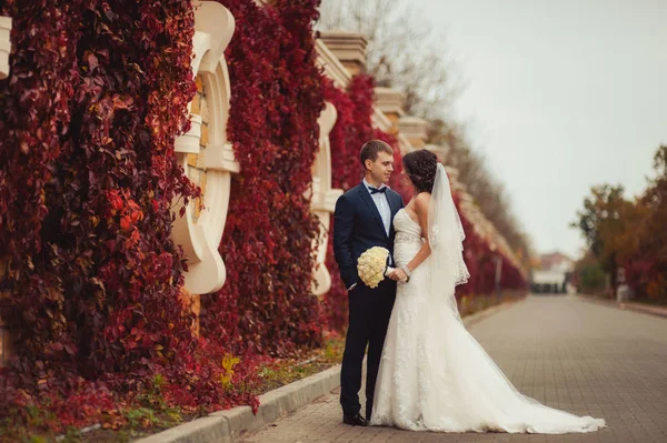 Couple de mariage sur une promenade près d'un mur avec des feuilles rouges — Photo