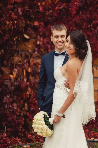 Hochzeitspaar bei einem Spaziergang an einer Mauer mit roten Blättern — Stockfoto