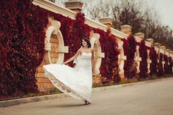 Egy séta, közel a fal, a piros levelek menyasszony — Stock Fotó
