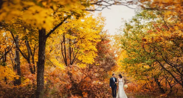 Hochzeitspaar beim Spaziergang im Herbstpark — Stockfoto