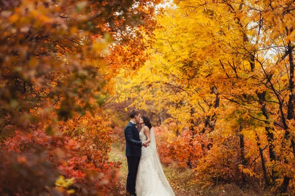 Hochzeitspaar beim Spaziergang im Herbstpark — Stockfoto