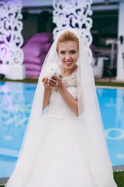 Retrato de uma bela noiva no dia do casamento — Fotografia de Stock