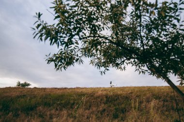 Damat ve gelin yürüyüşe açık havada