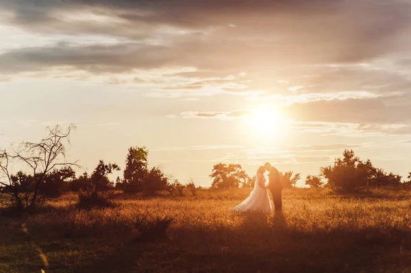 Novio y novia en un paseo al aire libre —  Fotos de Stock