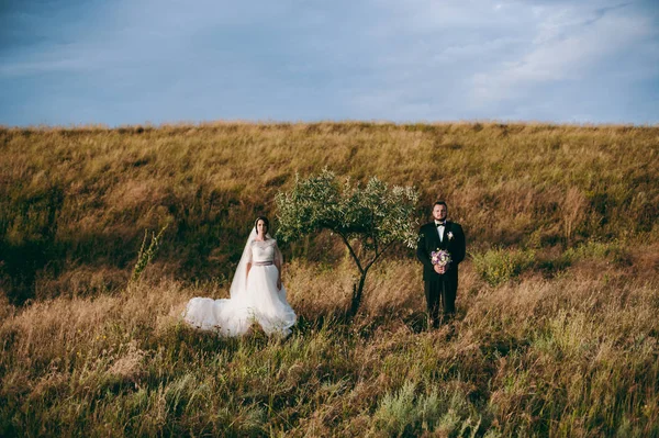 Noivo e noiva em um passeio ao ar livre — Fotografia de Stock