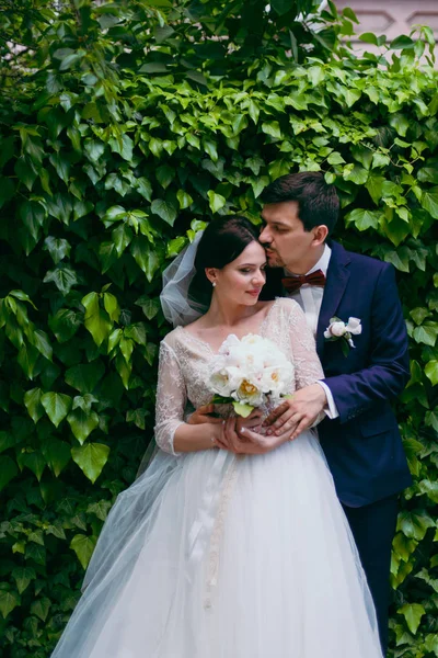 Gyönyörű menyasszony és a vőlegény pár séta az esküvőn — Stock Fotó