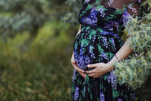 Piękna kobieta w ciąży na spacer w naturze — Zdjęcie stockowe
