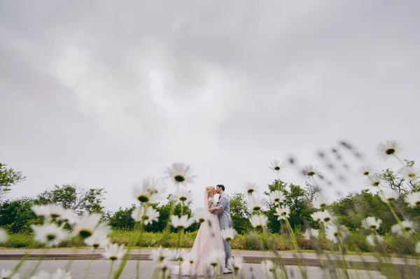 Schönes Brautpaar bei der Hochzeit — Stockfoto