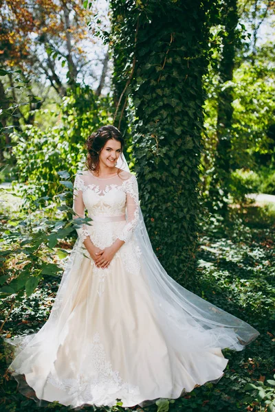 Düğün gününde güzel bir gelin portresi