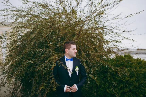 Retrato del novio en un paseo del día de la boda — Foto de Stock