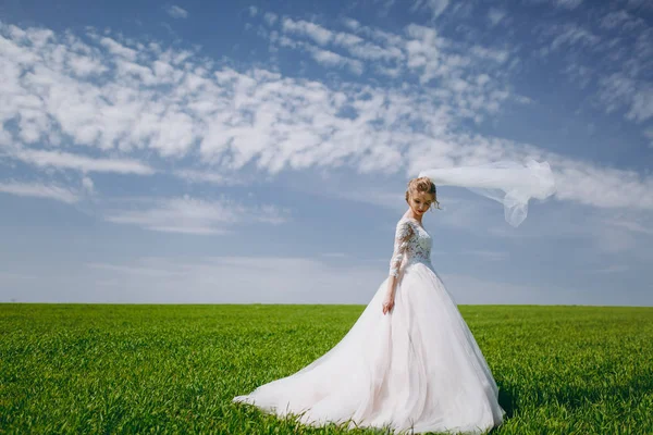 Portrait of a beautiful bride on wedding day — Stock Photo, Image