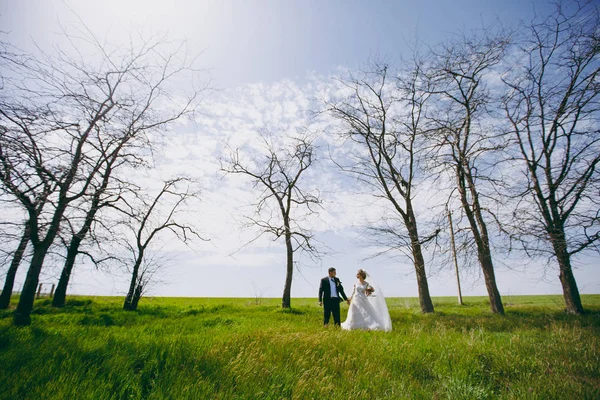 Όμορφη νύφη και ο γαμπρός ζευγάρι περπάτημα στο γάμο — Φωτογραφία Αρχείου