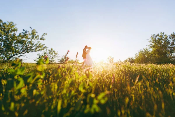 Casamento casal em um passeio na natureza — Fotografia de Stock