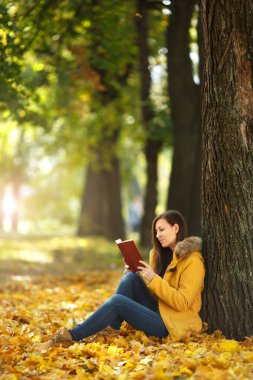 Güzel bir mutlu gülümseyen kahverengi saçlı kadın sarı ceket ve kot sıcak bir günde sonbahar Şehir Parkı kırmızı bir kitap ile akçaağaç ağacın altında oturuyor. Altın yaprak. Okuma kavramı