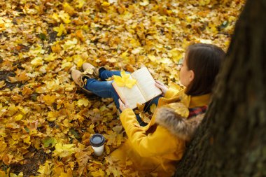 Güzel bir mutlu kahverengi saçlı kadın sarı ceket ve kot fincan çay veya kahve ve kırmızı kitap sonbahar şehir parkı ile akçaağaç ağacın altında oturuyor. Altın yaprak. Okuma kavramı. Üstten Görünüm.
