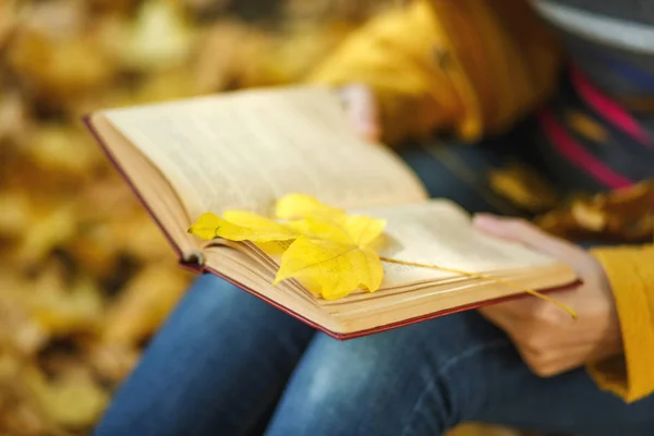 Mulher de casaco amarelo e jeans sentado sob a árvore de bordo com um livro vermelho no parque da cidade de outono em um dia quente. Folhas douradas de outono. Conceito de leitura. Fechar . — Fotografia de Stock