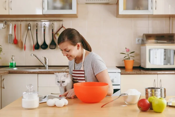 A young beautiful happy woman with a white Persian cat looking for a recipe of Christmas cakes in a tablet in the kitchen. Cooking home. Prepare food. — Stock Photo, Image