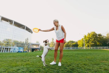 Kadın küçük komik köpek, hangi o yeşil çimenlerin üzerinde yakalamak için turuncu frizbi atma. Açık havada parkta oynarken küçük Jack Russel Terrier evde beslenen hayvan. Köpek ve açık hava sahibi. Hayvan hareket arka planda.