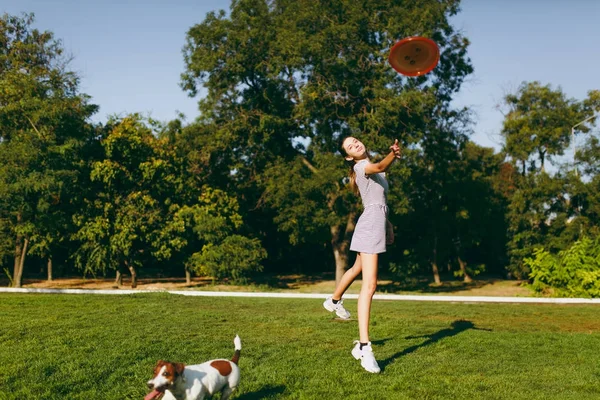 Fille jetant frisbee orange à petit chien drôle, qui l'attrape sur l'herbe verte. Petit Jack Russel Terrier animal de compagnie jouant à l'extérieur dans le parc. Chien et propriétaire en plein air. Animal en mouvement fond . — Photo