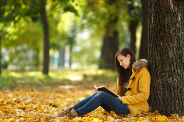 Güzel bir mutlu gülümseyen kahverengi saçlı kadın sarı ceket ve kot sıcak bir günde sonbahar Şehir Parkı kırmızı bir kitap ile akçaağaç ağacın altında oturuyor. Altın yaprak. Okuma kavramı