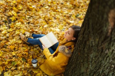 Güzel bir mutlu kahverengi saçlı kadın sarı ceket ve kot fincan çay veya kahve ve kırmızı kitap sonbahar şehir parkı ile akçaağaç ağacın altında oturuyor. Altın yaprak. Okuma kavramı. Üstten Görünüm.