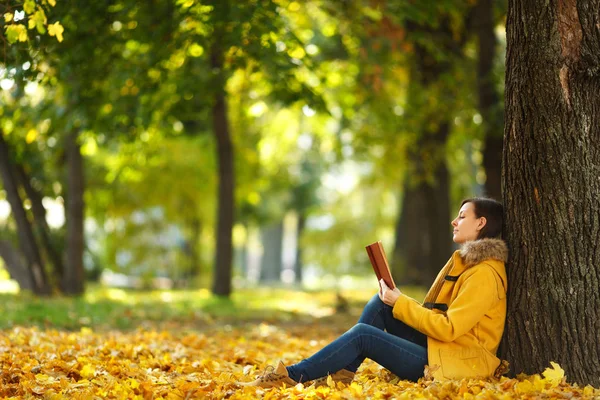 Uma bela mulher de cabelos castanhos sorridente feliz em casaco amarelo e jeans sentado sob a árvore de bordo com um livro vermelho no parque da cidade de outono em um dia quente. Folhas douradas de outono. Conceito de leitura — Fotografia de Stock