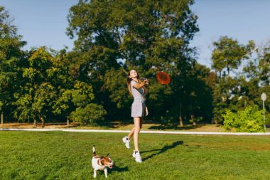 Komik küçük ve turuncu uçan disk atma kız köpek, hangi yakalamak