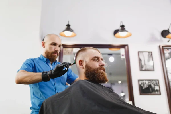 Male professional hairdresser serving client by scissors. Ginger handsome brutal stylish young man with thick big beard, short hair getting trendy haircut in black cape. Light white barber shop room. — Stock Photo, Image