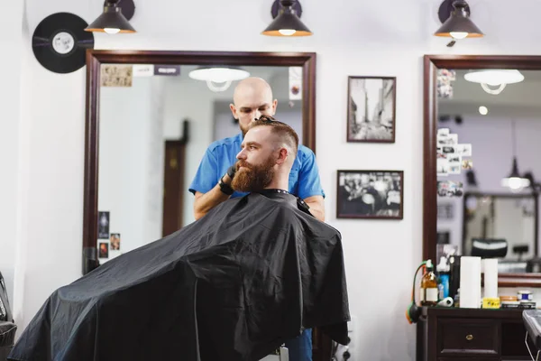 Male professional hairdresser serving client by clipper. Ginger handsome brutal stylish young man with thick big beard and short hair getting trendy haircut in black cape. Light white barber shop room