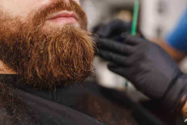 Close up of male professional hairdresser serving client with thick big beard by clipper. Ginger handsome brutal stylish young man getting trendy haircut in black cape. Light white barber shop room — Stock Photo, Image