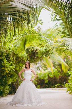 Avuç içi bir adada güzel gelin