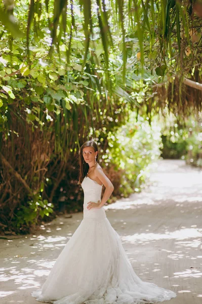 Hermosa novia en una isla en palmeras — Foto de Stock