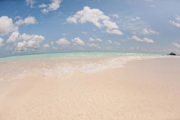 Όμορφη λευκή παραλία με φοίνικες στις Μαλδίβες — Φωτογραφία Αρχείου