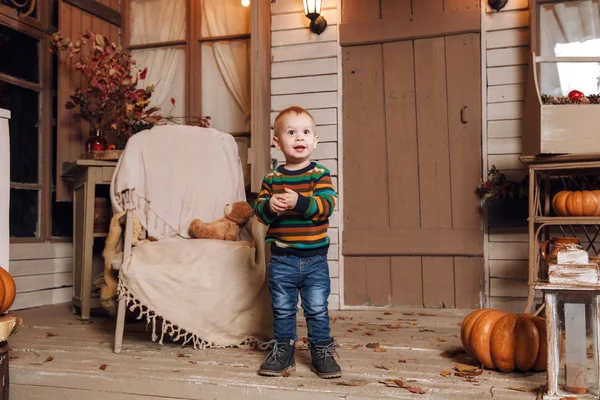 Χαριτωμένο μικρό αγόρι μωρό ντυμένος με ένα πουλόβερ, τζιν παίζει κοντά στο σπίτι με λούτρινο αρκουδάκι στην καρέκλα στο φθινόπωρο. Αφήνει στην αυλή, φωτίζονται από ΦΑΚΟΙ, με ξηρά πτώση κίτρινο, πορτοκαλί κολοκύθες. — Φωτογραφία Αρχείου