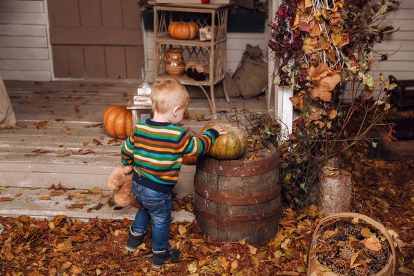Χαριτωμένο μικρό αγόρι μωρό ντυμένος με ένα πουλόβερ, τζιν, μπλε μπότες παίζει κοντά στο σπίτι με λούτρινο αρκουδάκι στο φθινόπωρο. Αφήνει στην αυλή, φωτίζονται από ΦΑΚΟΙ, με ξηρά πτώση κίτρινο, πορτοκαλί κολοκύθες. — Φωτογραφία Αρχείου