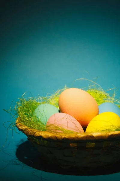 Colorido pastel monofônico tradicional pintado ovos de Páscoa em cesta com grama verde no fundo azul escuro com sombras pretas, silhueta, luz. Espaço de cópia para propaganda. Com lugar para texto — Fotografia de Stock