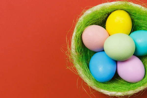 Zes kleurrijke pastel monofone geverfde paaseieren in de mand met groen gras geïsoleerd op rode achtergrond. Gelukkig Pasen concept. Kopiëren van ruimte voor reclame. Met de plek voor tekst. Bovenaanzicht op eieren. — Stockfoto