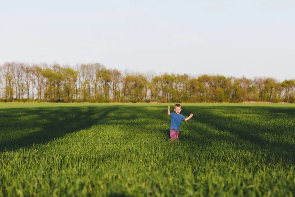 Joyeux petit enfant mignon bébé garçon marcher sur fond de blé de champ d'herbe verte, se reposer, s'amuser, jouer, courir. Petit fils. Journée d'été en famille, 15 mai, amour, bonne humeur, parents, concept enfants . — Photo