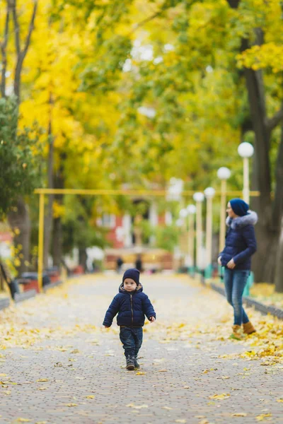 Νεαρή γυναίκα που περπατά στο πράσινο κίτρινο πτώση πάρκο με μικρό χαριτωμένο παιδί αγοράκι στη φύση. Τη μητέρα, υπόλοιπα γιος μικρό παιδί το φθινόπωρο. Πατρότητα, ημέρα οικογένειας, 15 Μαΐου, αγάπη, οι γονείς, τα παιδιά έννοια. — Φωτογραφία Αρχείου