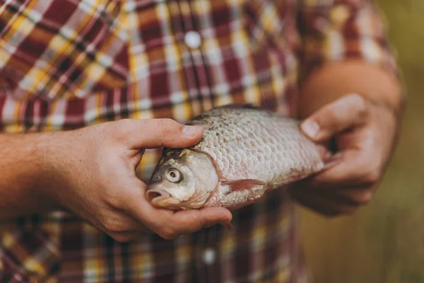 Człowiek w kraciaste koszule trzyma w ręce z bliska fish z otwartymi ustami na tło zamazane pole zielony brązowy. Styl życia, rekreacja, rybak wypoczynek koncepcja. Miejsce na reklamę. — Zdjęcie stockowe