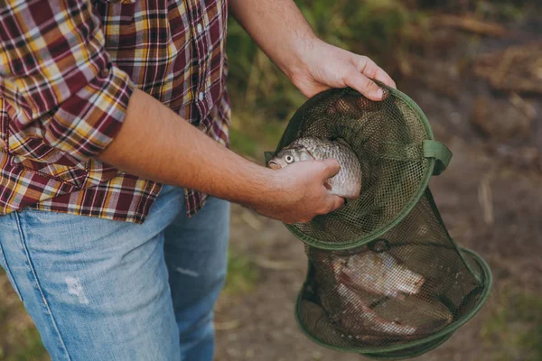 Close up cropped Homem em camisa xadrez com mangas arregaçadas peixes capturados e coloca-lo em grade de pesca verde na costa do lago no fundo borrado. Estilo de vida, recreação, conceito de lazer do pescador — Fotografia de Stock