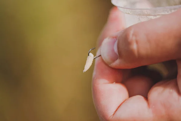 Close up O verme para a isca é coloca no gancho para a vara de pesca em mãos masculinas em um fundo marrom pastel embaçado. Pescador com vermes. Estilo de vida, recreação, conceito de lazer . — Fotografia de Stock