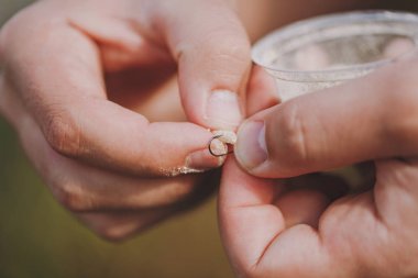 Yakın küçük bir kutu kurtçuklar ile erkekler ellerini tutun ve bulanık pastel kahverengi arka plan üzerinde bir olta ile balık Oltaya yem koymak. Yaşam tarzı, eğlence, eğlence kavramı. Solucan ile balıkçı.