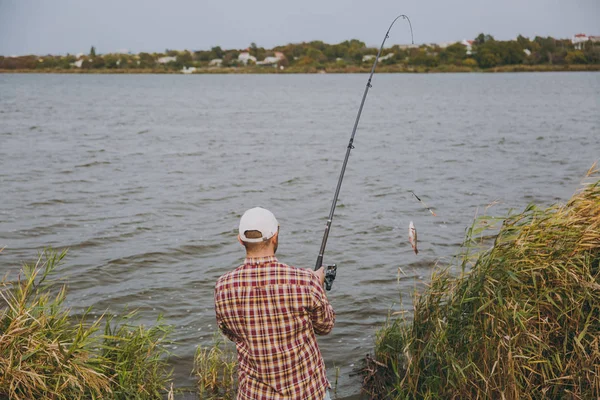 Vista posterior Joven hombre sin afeitar en camisa a cuadros, gorra y gafas de sol saca caña de pescar con pescado capturado en el lago de la orilla cerca de arbustos y cañas. Estilo de vida, recreación, concepto de ocio del pescador . —  Fotos de Stock