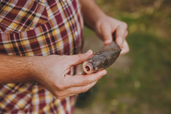 Närbild av en man i rutig skjorta håller i hans händer en fisk med öppen mun på en suddig brun grön bakgrund. Livsstil, rekreation, fisherman fritid koncept. Kopiera utrymme för reklam. — Stockfoto