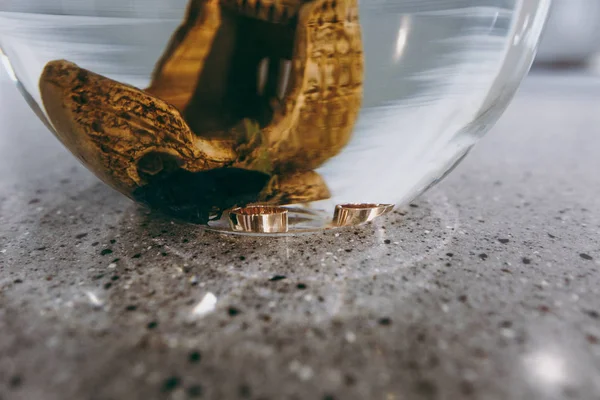 Nahaufnahme von zwei schönen stilvollen goldenen breiten Eheringen des Brautpaares am Boden eines transparenten Aquariums mit vergoldeter Kulisse und Fischen. Hochzeitsaccessoires, Schmuck — Stockfoto