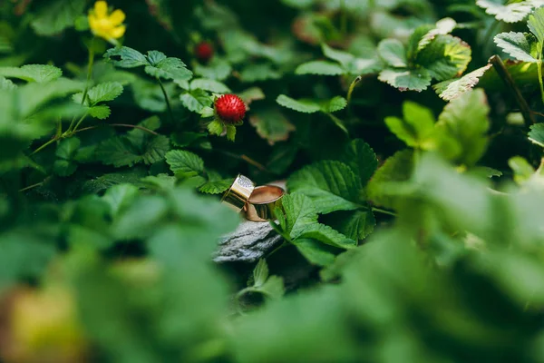 Feche Dois belos anéis de casamento largos dourados elegantes da noiva e noivo em uma pedra no jardim verde perto de arbustos de morango. Acessórios de casamento, jóias — Fotografia de Stock