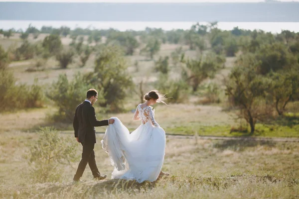 Bela sessão de casamento. Bonito noivo em um terno preto e noiva jovem em vestido de renda branca com penteado requintado no passeio ao redor do grande campo verde contra as árvores e arbustos de fundo — Fotografia de Stock