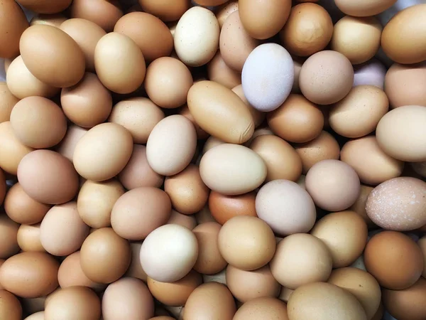 Текстура фон Група круглих, овальних, довгих курячих яєць високої якості білого, бежевого, коричневого, пастельних кольорів — стокове фото